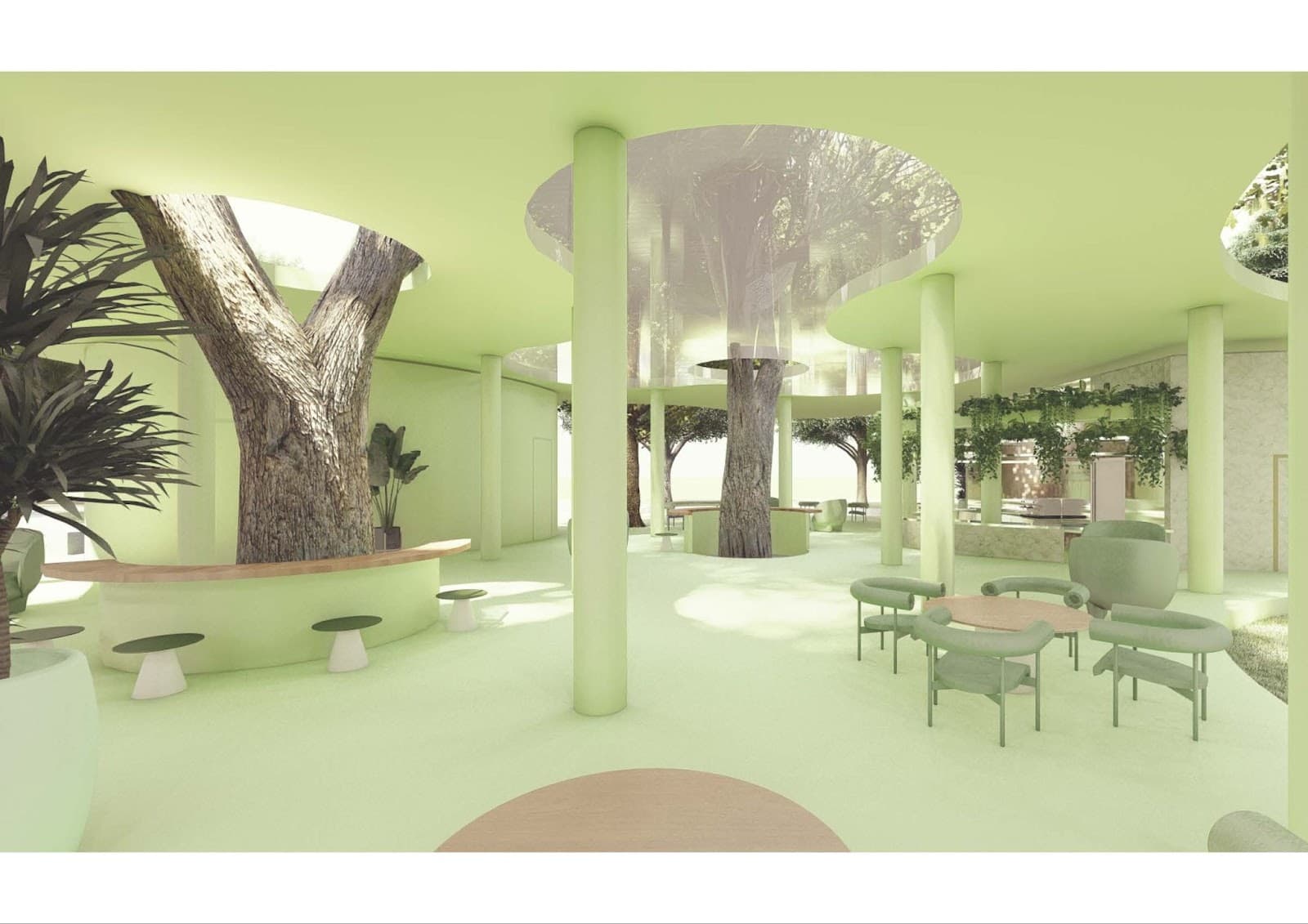 Presentation - Image 1